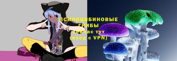 синтетический гашиш Богородицк
