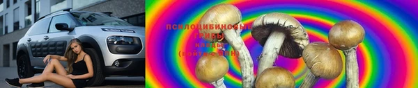 синтетический гашиш Богородицк