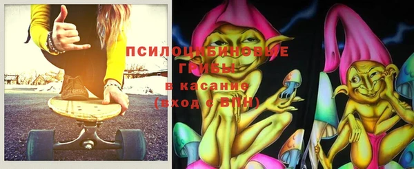 синтетический гашиш Богородицк